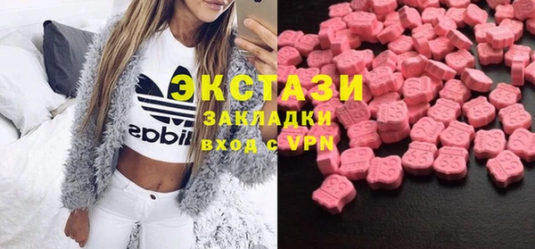ECSTASY Алзамай