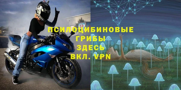 твердый Алексин