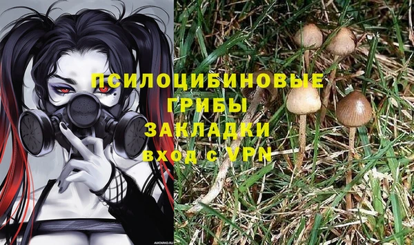 твердый Алексин