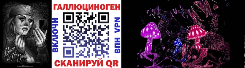 где купить   Барнаул  Галлюциногенные грибы Psilocybe 
